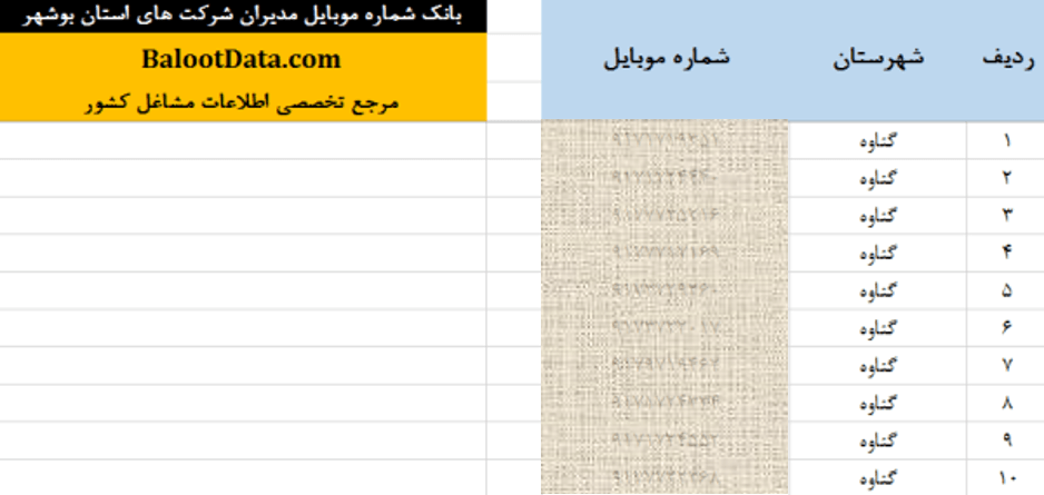 بانک موبایل مدیران شرکت های بوشهر