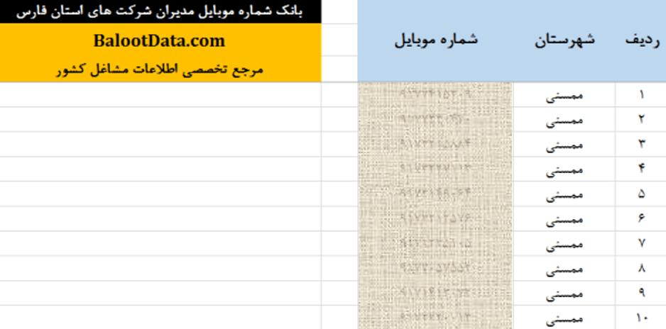 بانک موبایل مدیران فارس